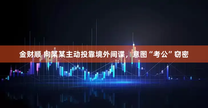 金财顺 向某某主动投靠境外间谍，意图“考公”窃密