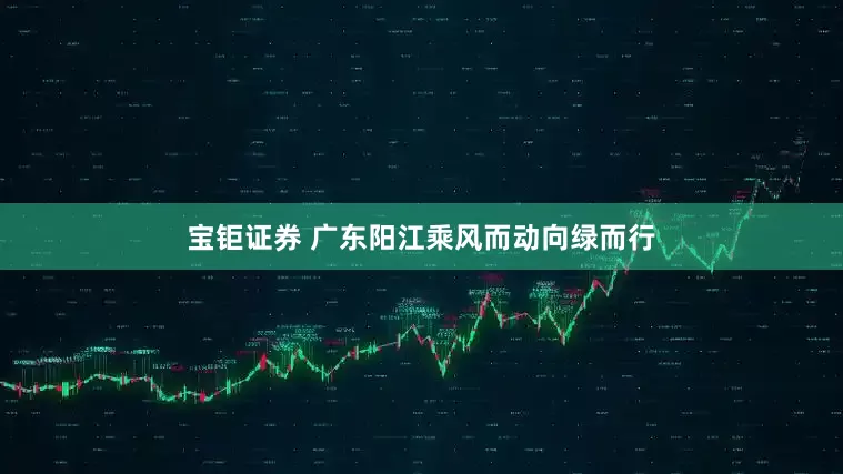 宝钜证券 广东阳江乘风而动向绿而行