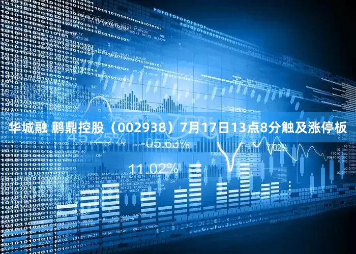 华城融 鹏鼎控股（002938）7月17日13点8分触及涨停板