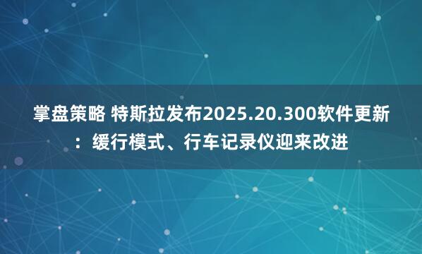 掌盘策略 特斯拉发布2025.20.300软件更新：缓行模式、行车记录仪迎来改进
